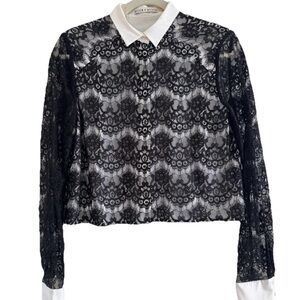 Alice + Olivia Black Lace Women's Button Up with Sheer sleeves and White Collar
